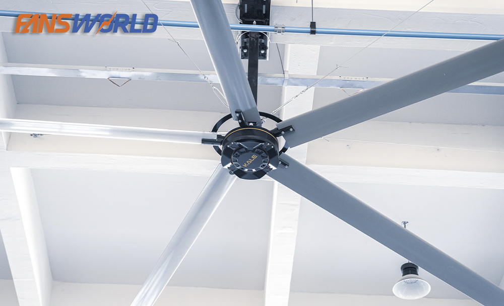 Đặc điểm nổi bật của Kale HVLS - D3AAA73