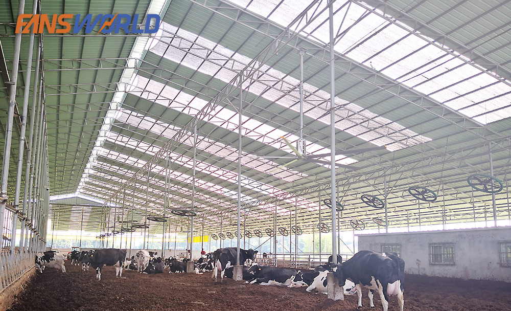 Ứng dụng của quạt trần công nghiệp cánh dài Kale HVLS-D6BAA73