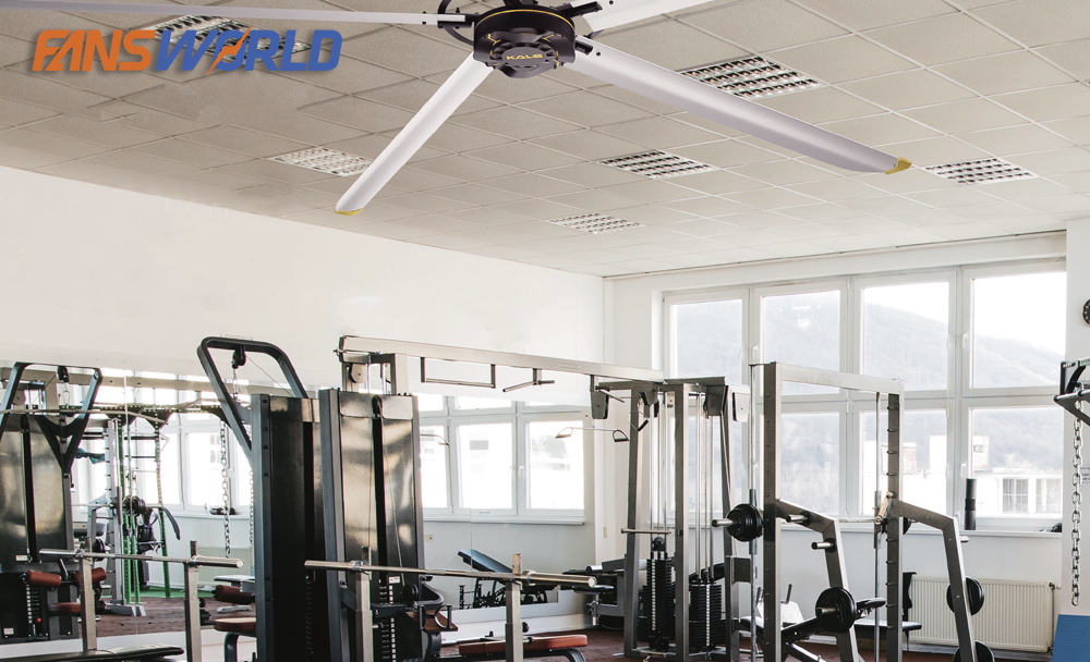 Tại sao nên chọn Kale HVLS - D3AAA73?