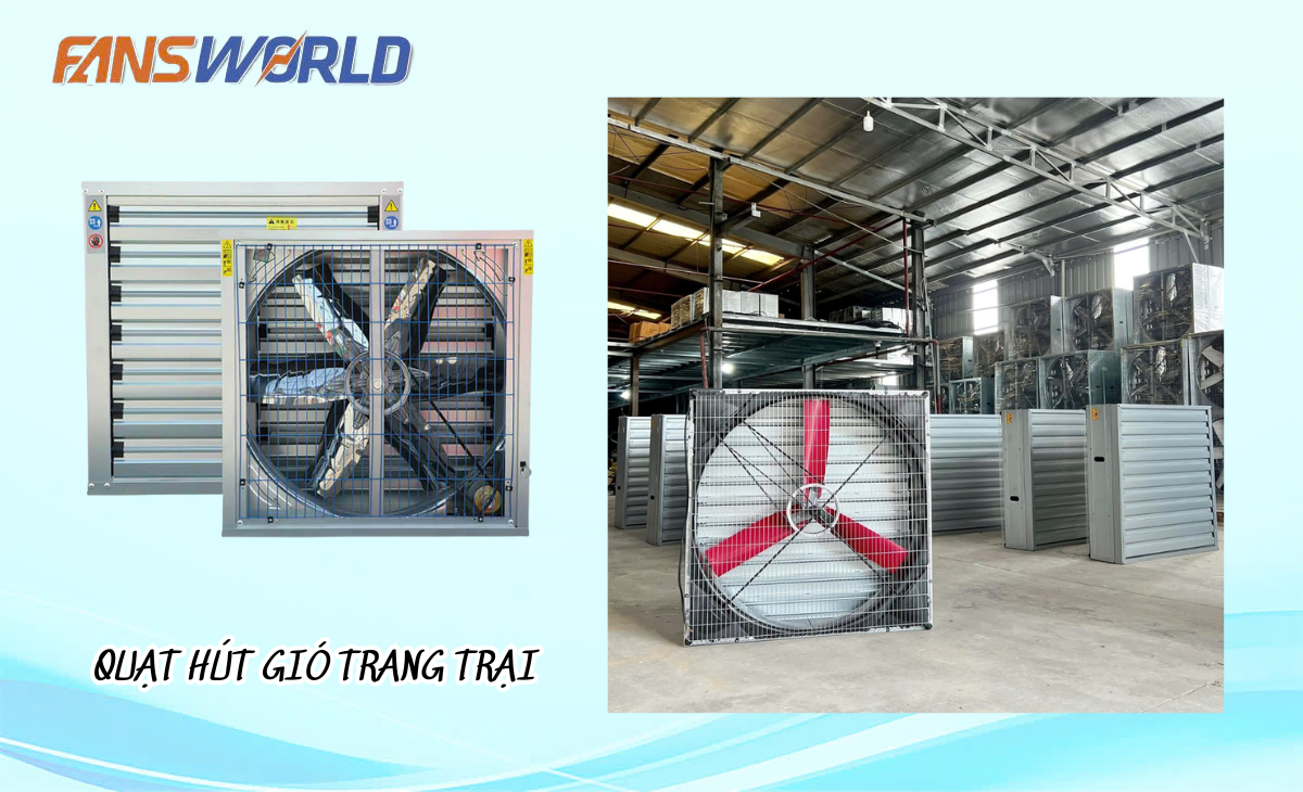 Quạt thông gió trang trại hiện đang được ứng dụng phổ biến