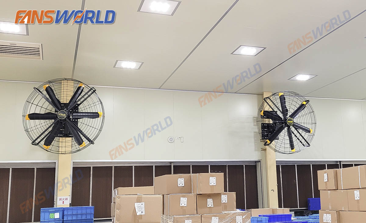 Quạt treo tường công suất lớn hvls