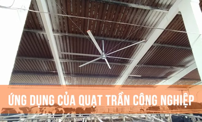 Ứng dụng quạt trần công nghiệp trong các lĩnh vực