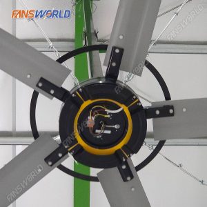 Motor Quạt Zephyrus kale 4.9m