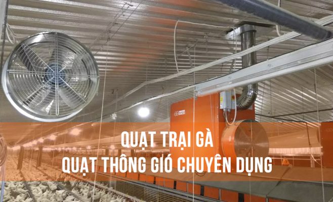 Quạt trại gà – Quạt thông gió chuyên dụng cho chăn nuôi gia cầm